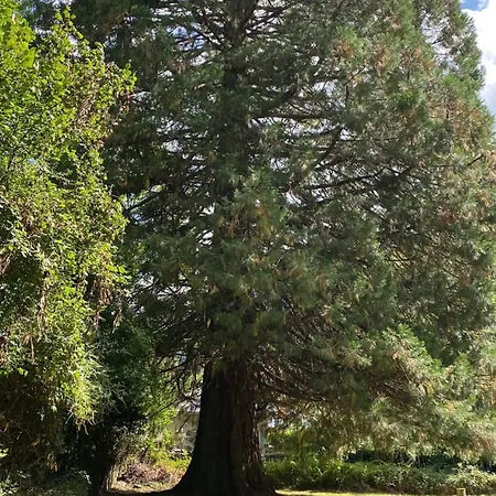 Le Coquelicot De Luchon Apartamento *
