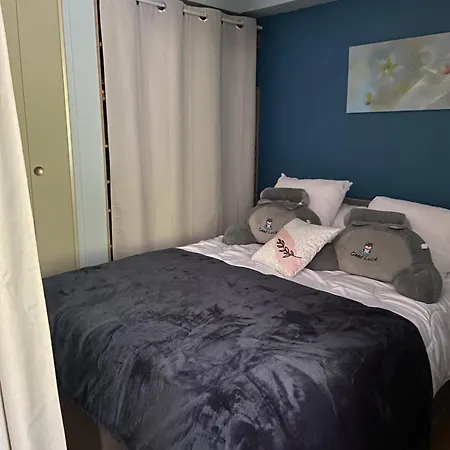 Le Coquelicot De Luchon Apartment Bagneres-de-Luchon